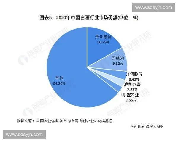 解码年度体育品牌榜背后的市场格局与消费趋势洞察全球竞争力演变