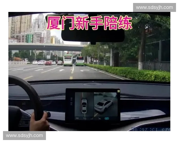 掌握驾驶转弯技巧提升安全与操控能力全攻略 掌握驾驶转弯技巧提升安全与操控能力全攻略