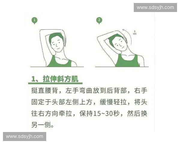 肩部放松技巧全解析，缓解肩部疲劳与压力，轻松恢复活力